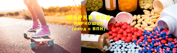 ешки Тайга