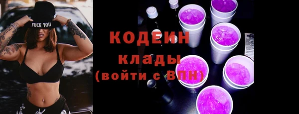 PSILOCYBIN Сясьстрой