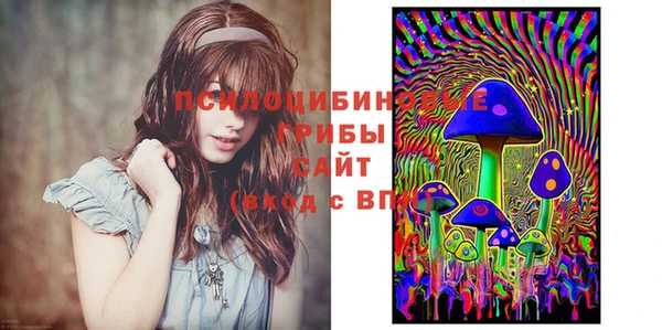 бутират Дмитровск