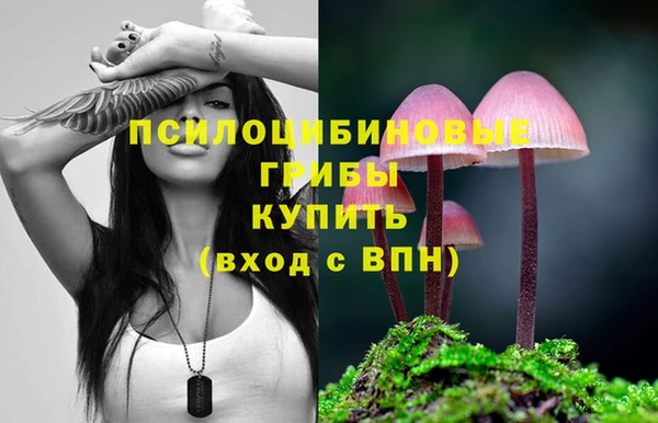 эйфоретик Тында