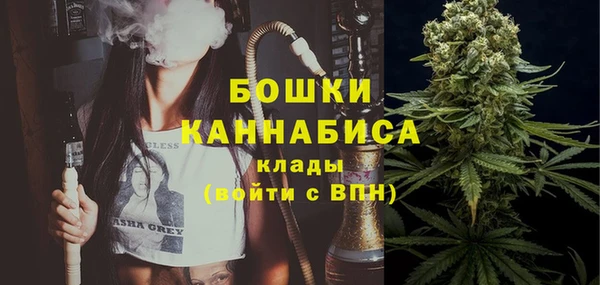 PSILOCYBIN Сясьстрой