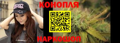 эйфоретик Аргун