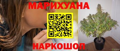 эйфоретик Апшеронск