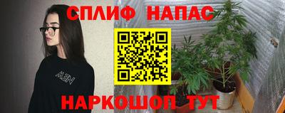 эйфоретик Аргун