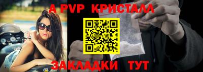 эйфоретик Аргун