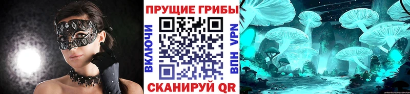 blacksprut как зайти  Вятские Поляны  Псилоцибиновые грибы GOLDEN TEACHER 