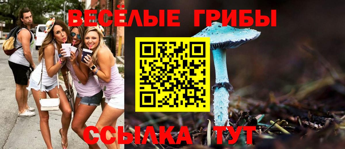 Галлюциногенные грибы Cubensis  Галлюциногенные грибы ЛСД  Вятские Поляны  дарнет шоп  Вход с VPN 