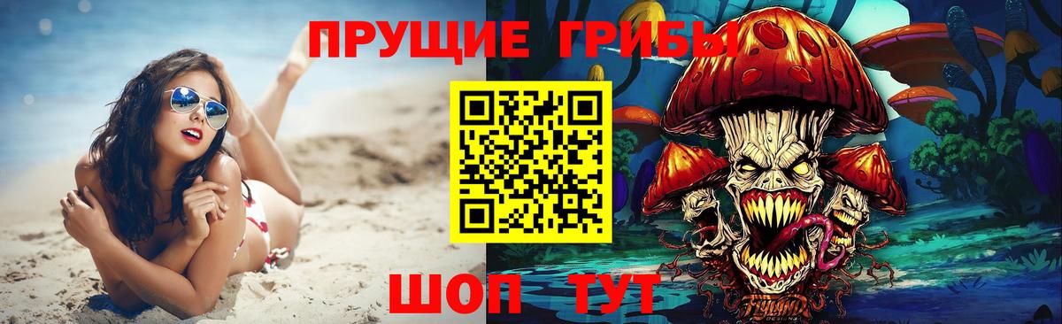 Галлюциногенные грибы Cubensis Вятские Поляны