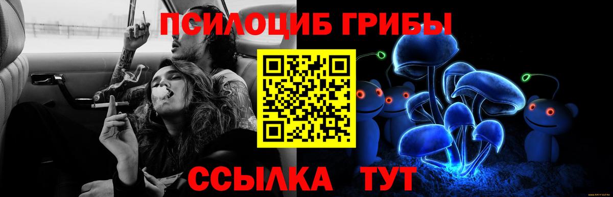 Галлюциногенные грибы мицелий  Вход с VPN  Вятские Поляны 