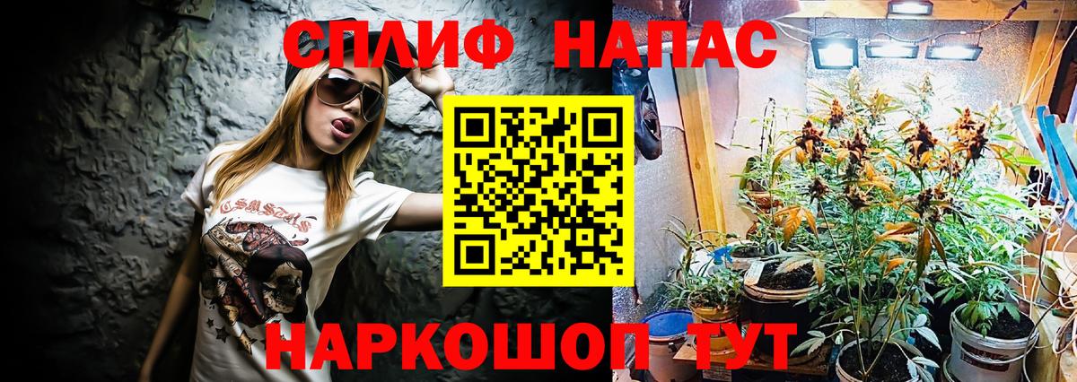 Бошки марихуана ГИДРОПОН  МАРИХУАНА White Widow  Марихуана план  Вятские Поляны  Вход с VPN 